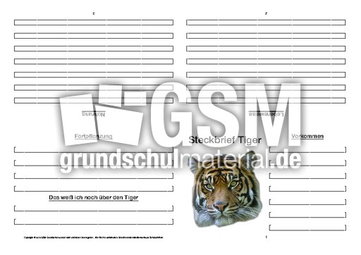 Tiger-Faltbuch-vierseitig-7.pdf